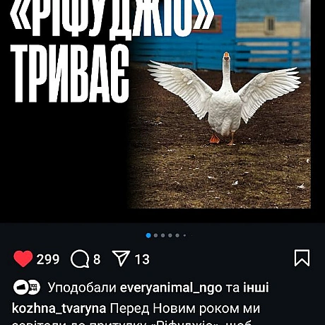 У притулку для тварин облаштовують міні клінікуhttps://www.instagram.com/p/DEhr-nqNE46/?img_index=4&igsh=MXB1cjlqbWVtb3AwOA==... - 🌱 Веганський Тернопіль на we.ua