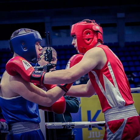 #бокс#Роботарепортер #boxing #workreporter - Репортер інформує на we.ua