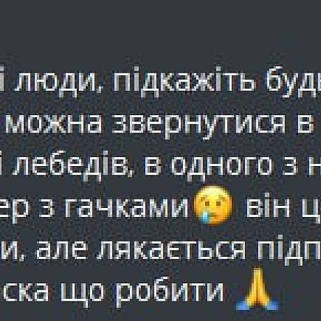 Привіт, можливо тут хтось дасть слушну пораду, або й візьметься до справи.Лебідь через рибаків попав в біду. Показується людям(... - 🌱 Веганський Тернопіль на we.ua