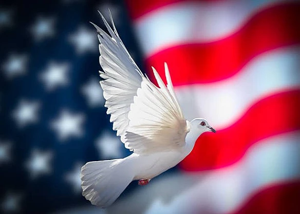 Мирні переговори за участі США як посередника за останні 120 років.🕊 Портсмутський мир (1905)Російсько-японська війна (1904–1... - WAS на we.ua