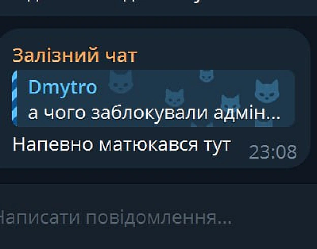 Матюкались у чаті \