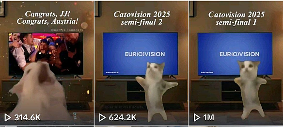 нарешті відео по євробаченню отримали ту увагу на яку вони заслуговують 🙂‍↕️🥹 - Музика і Котики on we.ua
