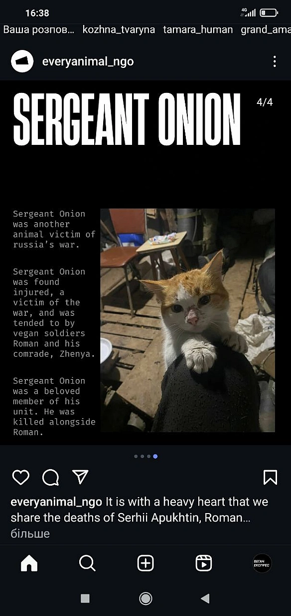 🌱 Веганський Тернопіль on we.ua