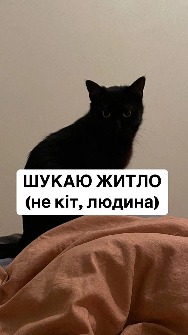 Усім привіт!шукаю квартиру для оренди, якщо ви/ваші знайомі здають, то буду вдячна за контакти.*картинка для привернення ув... - 🌱 Веганський Тернопіль на we.ua