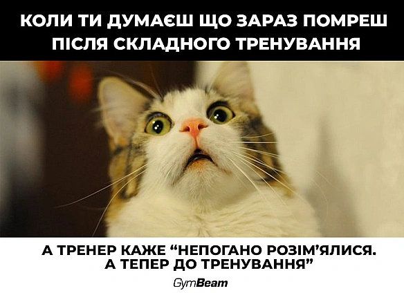 Приєднуйтесь до 💪 GymBeam 💪 - тут спорт стає не тільки корисним, але й веселим!Що на тебе чекає?✅ Поради щодо тренувань не ті... - МЕМАГРАМ on we.ua