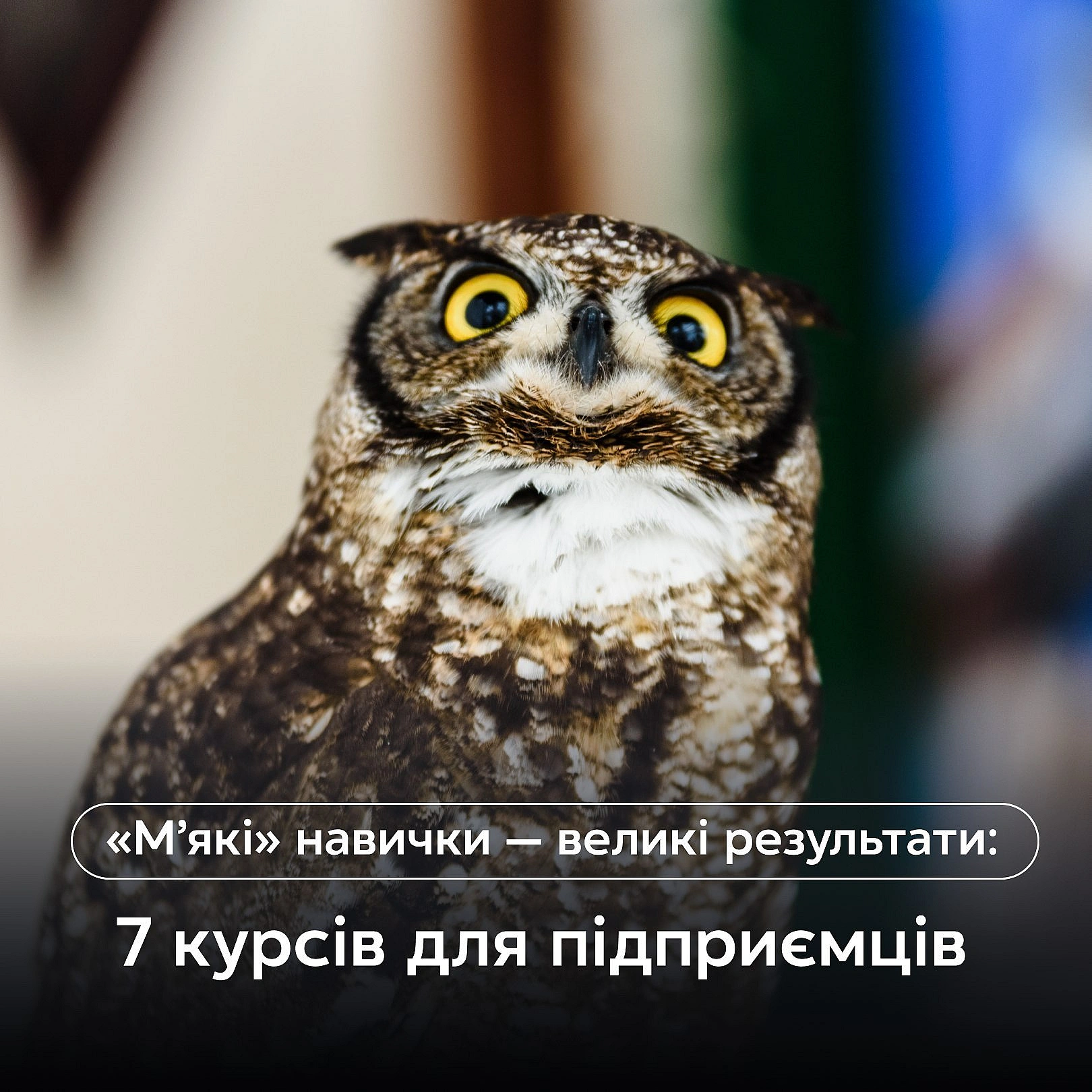 Полиште технічні знання… Час прокачувати soft skills. Майстерно виступайте на публіці, вправляйтеся з ШІ та будьте ефективними, ... - Ціна Держави на we.ua