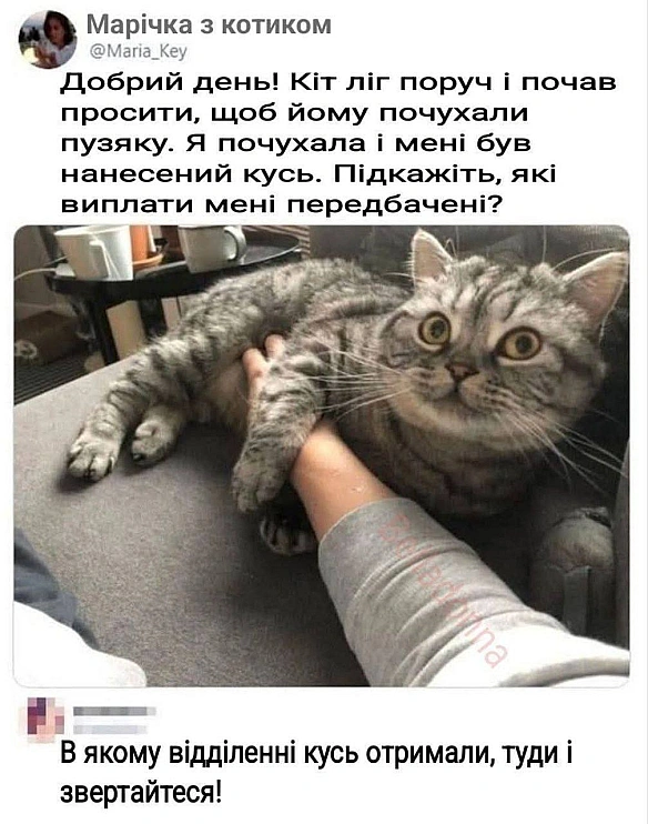 Баба і Кіт на we.ua