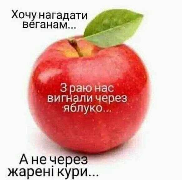 Баба і Кіт на we.ua