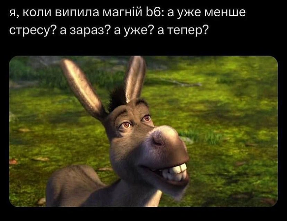 Баба і Кіт на we.ua