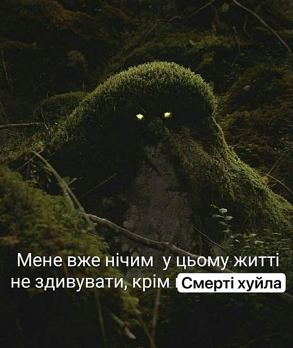 Баба і Кіт на we.ua