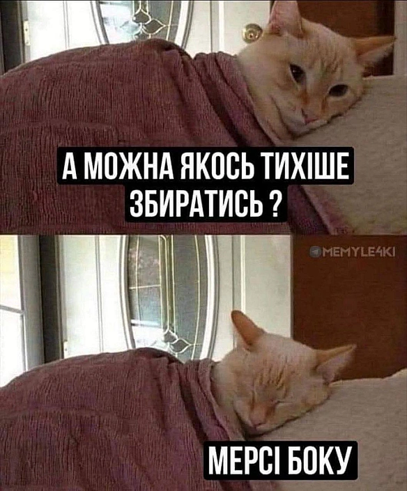 Баба і Кіт на we.ua