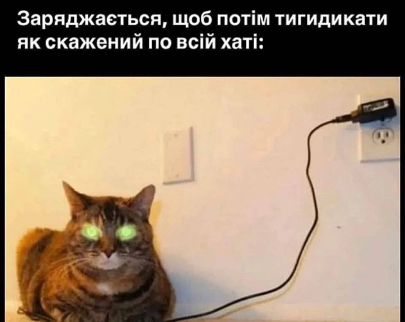 Баба і Кіт на we.ua