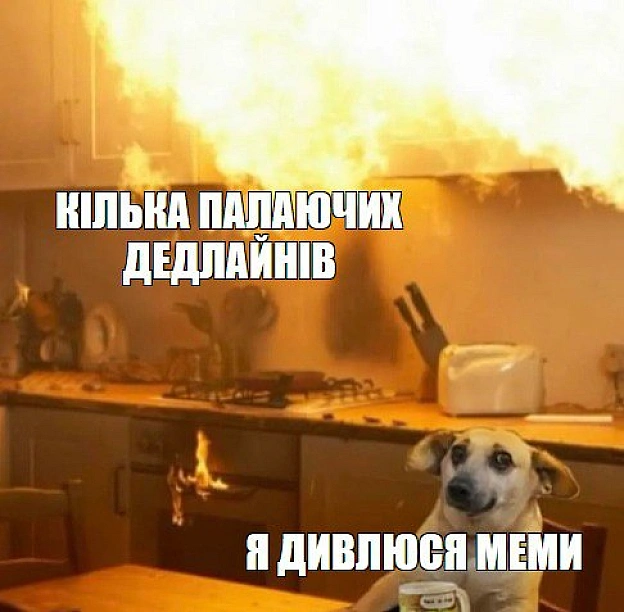 Баба і Кіт на we.ua