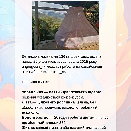 🚀 Веганка: наука та інновації на we.ua