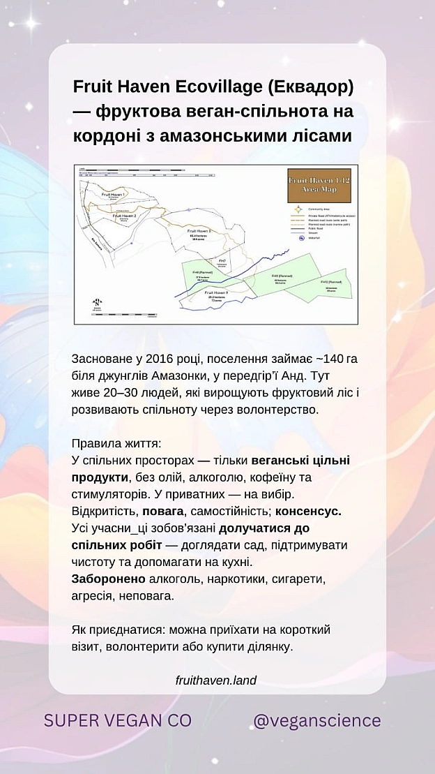 🚀 Веганка: наука та інновації на we.ua
