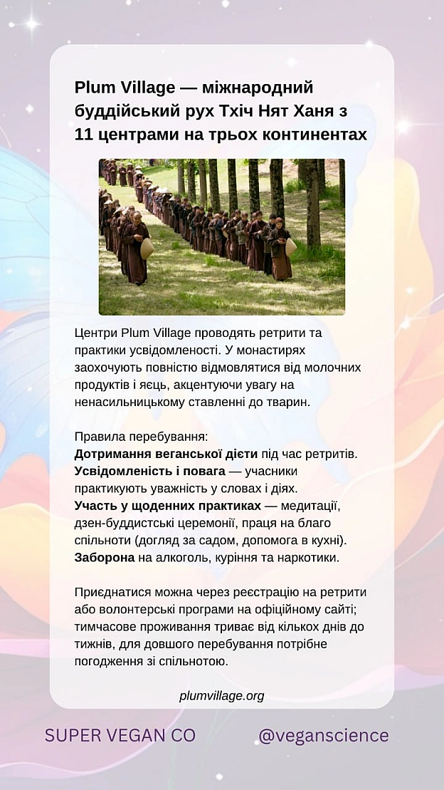 🚀 Веганка: наука та інновації на we.ua