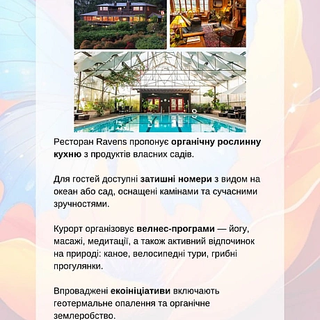 🚀 Веганка: наука та інновації на we.ua