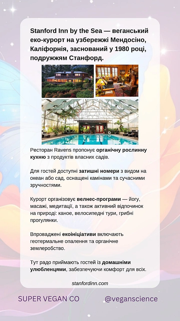 🚀 Веганка: наука та інновації на we.ua
