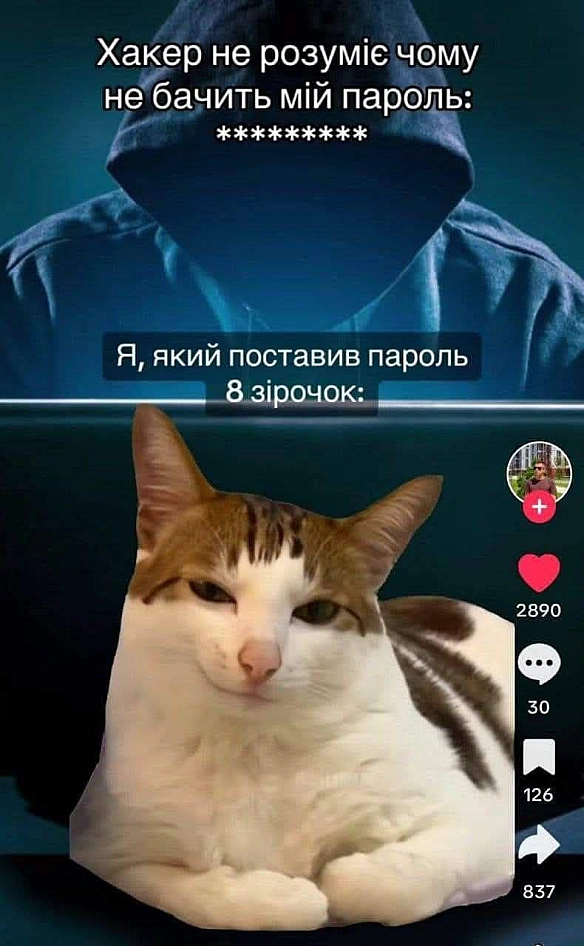 Баба і Кіт на we.ua
