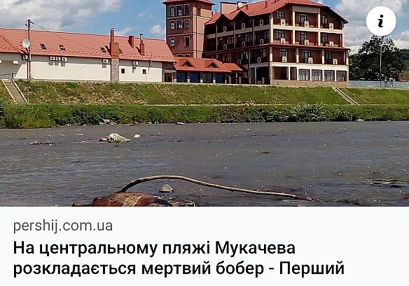 Баба і Кіт на we.ua