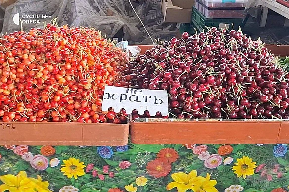 Баба і Кіт на we.ua