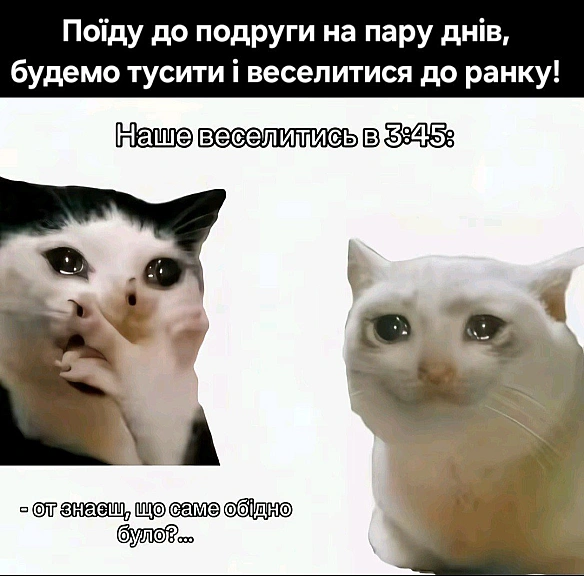 Баба і Кіт на we.ua
