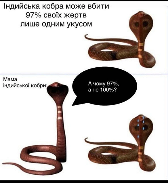 Баба і Кіт на we.ua