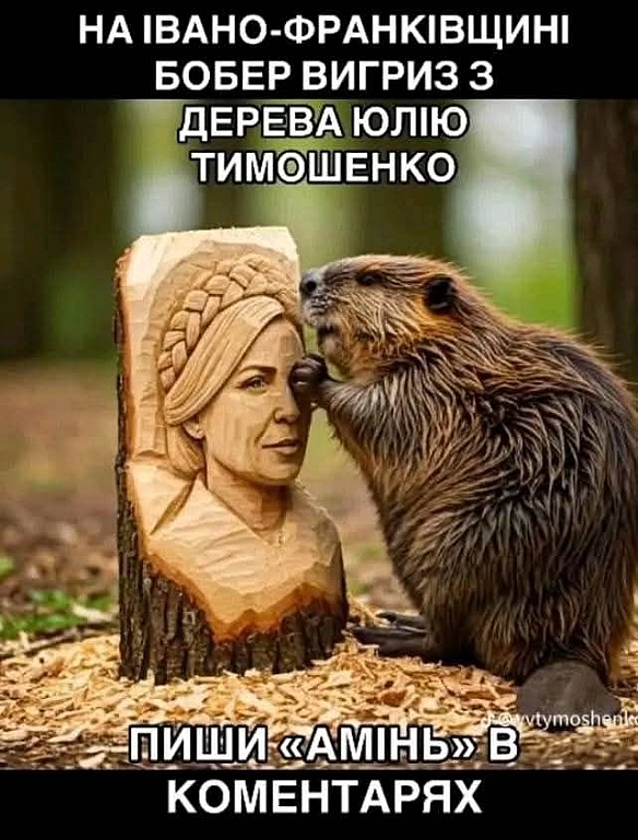 Баба і Кіт на we.ua