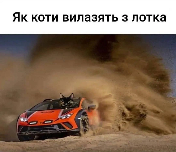 Баба і Кіт на we.ua