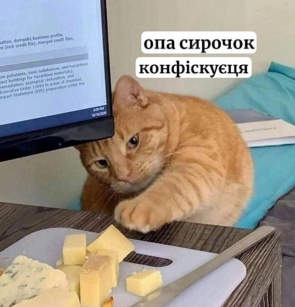 Баба і Кіт на we.ua
