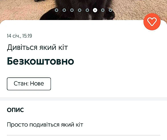 Баба і Кіт на we.ua