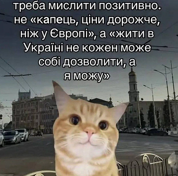 Баба і Кіт на we.ua