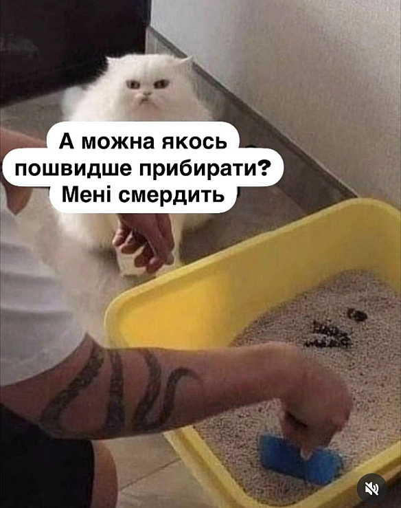Баба і Кіт на we.ua