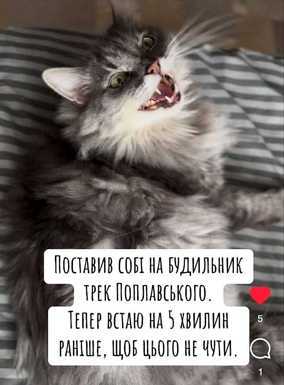 Баба і Кіт на we.ua