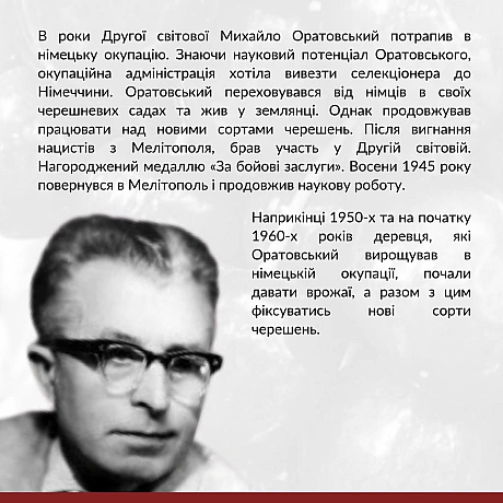 4 липня відзначаємо 120 річницю українського науковця та селекціонера Михайла Оратовського. Виведені ним сорти черешні стали одн... - Український інститут національної пам'яті на we.ua