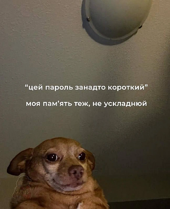 Баба і Кіт on we.ua