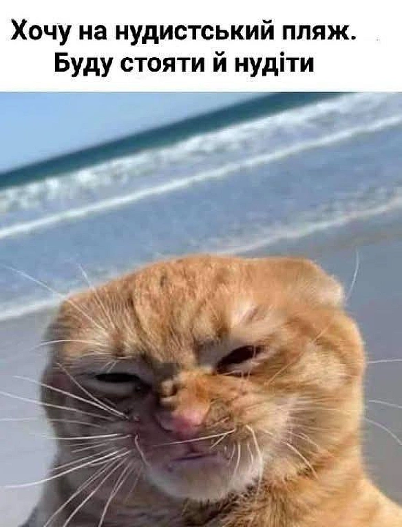 Баба і Кіт на we.ua