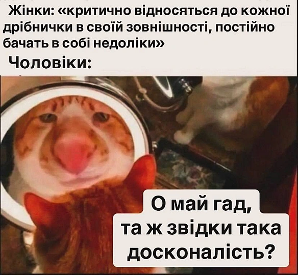 Баба і Кіт на we.ua