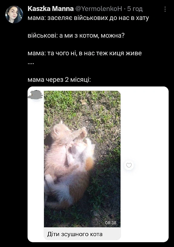 Баба і Кіт на we.ua