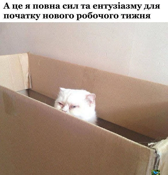 Баба і Кіт на we.ua