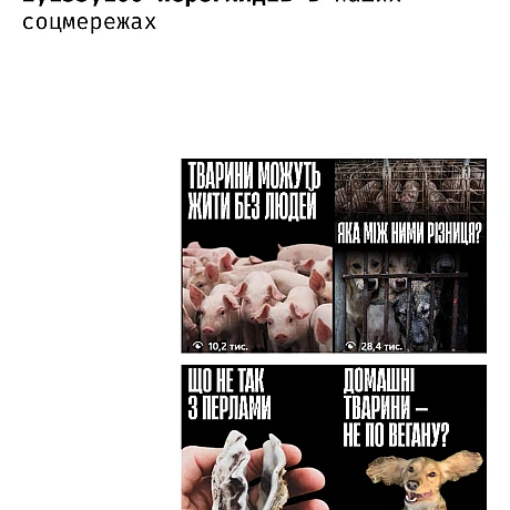 Кожна тварина на we.ua