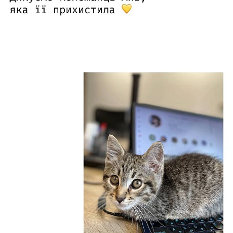 Кожна тварина на we.ua
