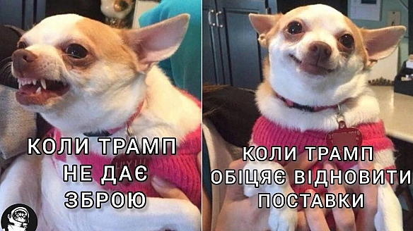 Баба і Кіт на we.ua