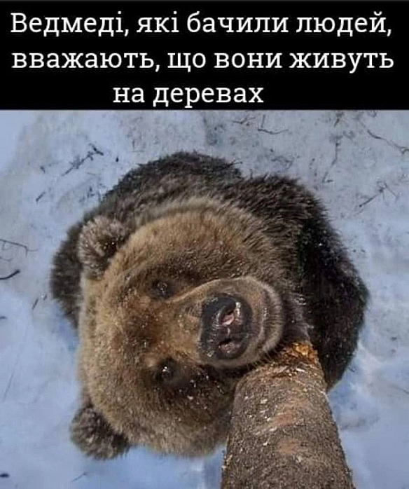 Баба і Кіт на we.ua