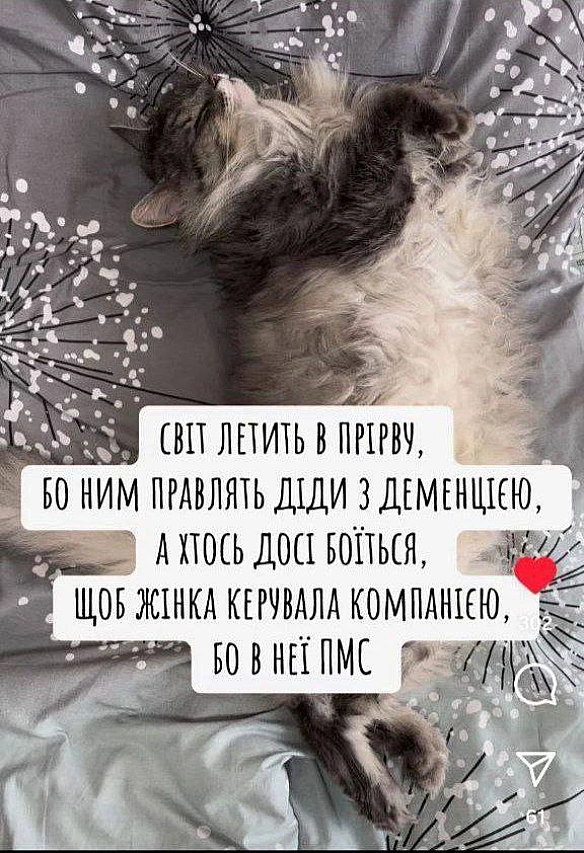 Баба і Кіт на we.ua
