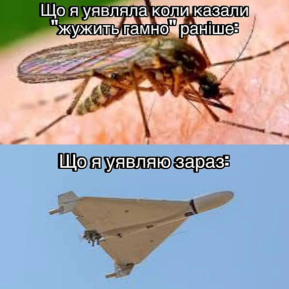 Баба і Кіт на we.ua
