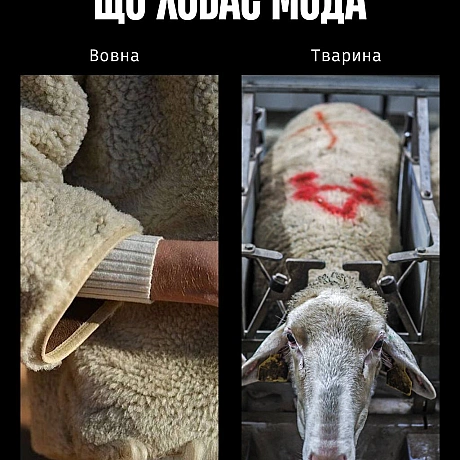 Сьогодні — День моди. І поки одні обговорюють тренди, ми говоримо про те, що досі вважають нормою: шкіру, вовну, шовк, хутро та ... - Кожна тварина на we.ua