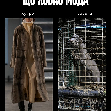 Сьогодні — День моди. І поки одні обговорюють тренди, ми говоримо про те, що досі вважають нормою: шкіру, вовну, шовк, хутро та ... - Кожна тварина на we.ua
