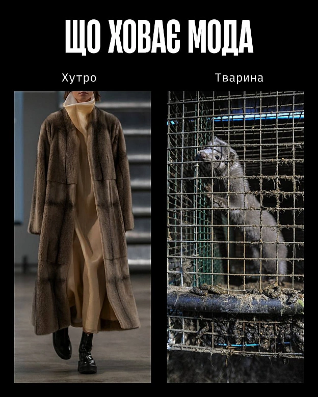 Кожна тварина on we.ua