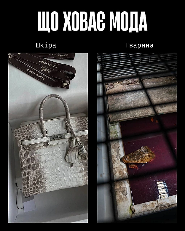 Сьогодні — День моди. І поки одні обговорюють тренди, ми говоримо про те, що досі вважають нормою: шкіру, вовну, шовк, хутро та ... - Кожна тварина on we.ua